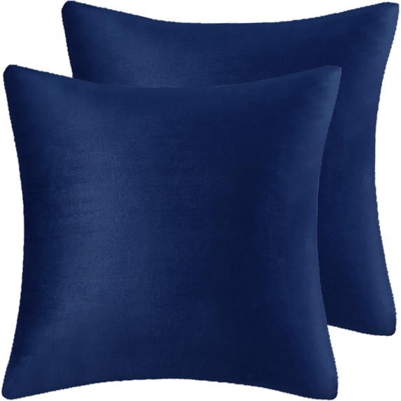 Nmkwnr Set of 2 Decorative Pillow Covers Soft Velvet Square Throw Pillow Case for Couch Sofa Bed Living Room, 20x20 Inch