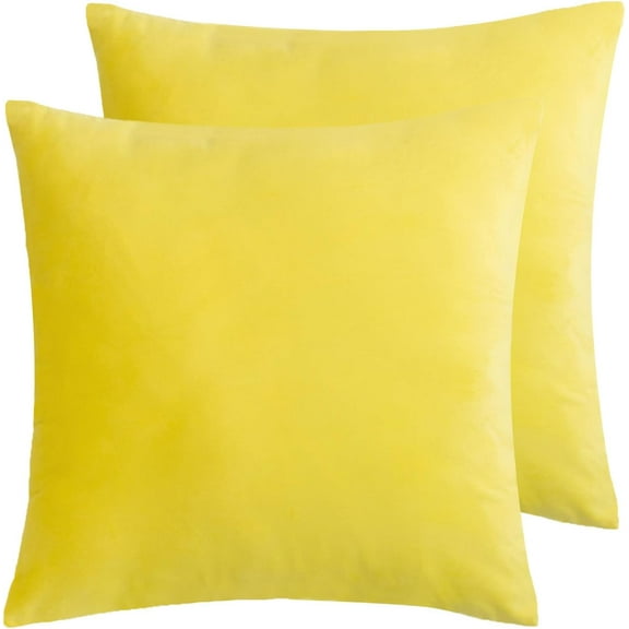 Nmkwnr Set of 2 Decorative Pillow Covers Soft Velvet Square Throw Pillow Case for Couch Sofa Bed Living Room, 22x22 Inch