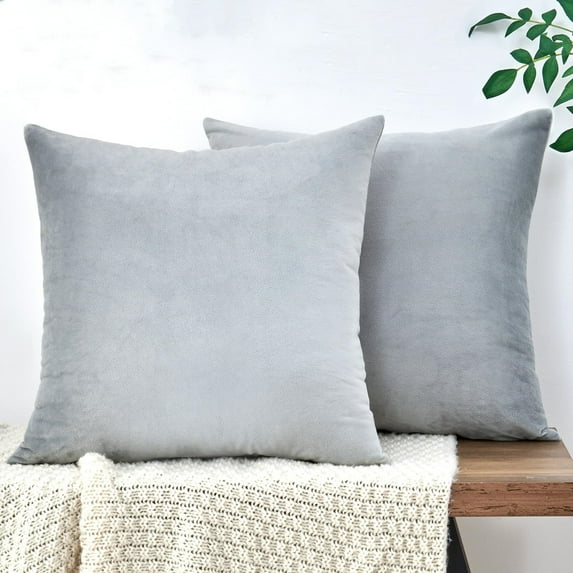 Nmkwnr Set of 2 Soft Velvet Throw Pillow Covers Decorative Square Cushion Case for Sofa, Couch, Bedroom, Living Room, 20"x20"
