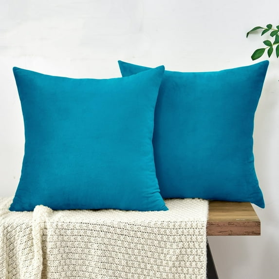 Nmkwnr Set of 2 Soft Velvet Throw Pillow Covers Decorative Square Cushion Case for Sofa, Couch, Bedroom, Living Room, 20"x20"