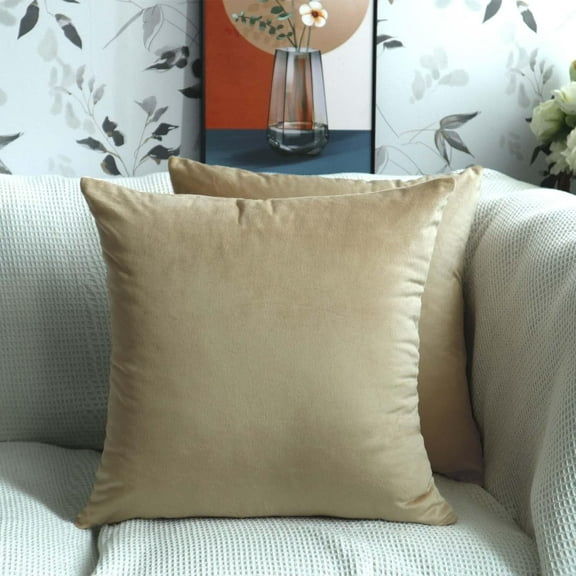 Nmkwnr Set of 2 Soft Velvet Throw Pillow Covers with Zipper, Square Decorative Cushion Cases for Couch Sofa Bedroom Living Room, 16x16inch