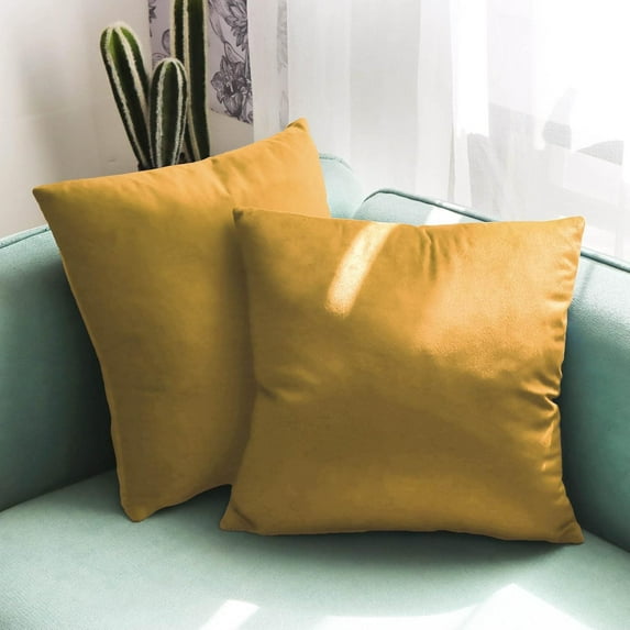 Nmkwnr Set of 2 Soft Velvet Throw Pillow Covers with Zipper, Square Decorative Cushion Cases for Couch Sofa Bedroom Living Room, 18x18inch