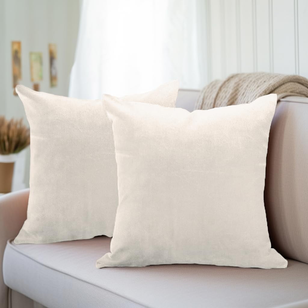 Nmkwnr Set of 2 Throw Pillow Covers with Zipper, Decorative Square Pillow Cases Velvet Cushion Covers for Sofa Couch Bed, 24"x24"