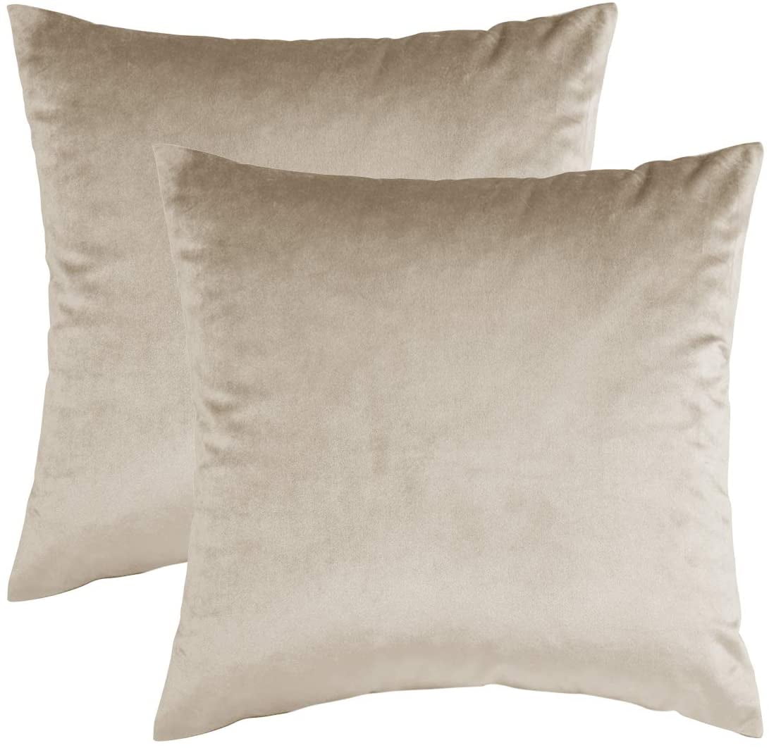 Nmkwnr Set of 2 Velvet Decorative Throw Pillow Covers Soft Square Pillow Case for Living Room Couch Bed Sofa, 22x22 Inch