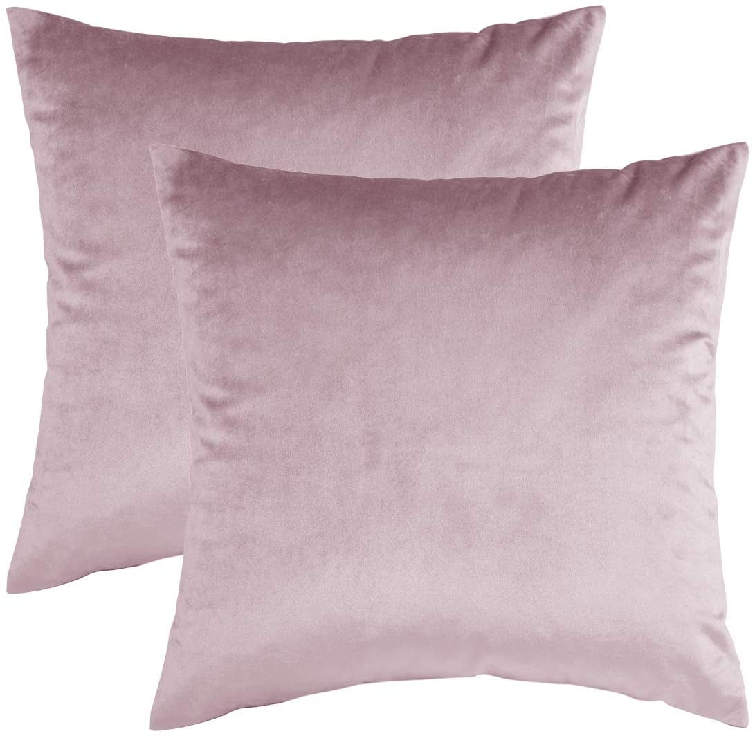 Nmkwnr Set of 2 Velvet Decorative Throw Pillow Covers Soft Square Pillow Case for Living Room Couch Bed Sofa, 22x22 Inch
