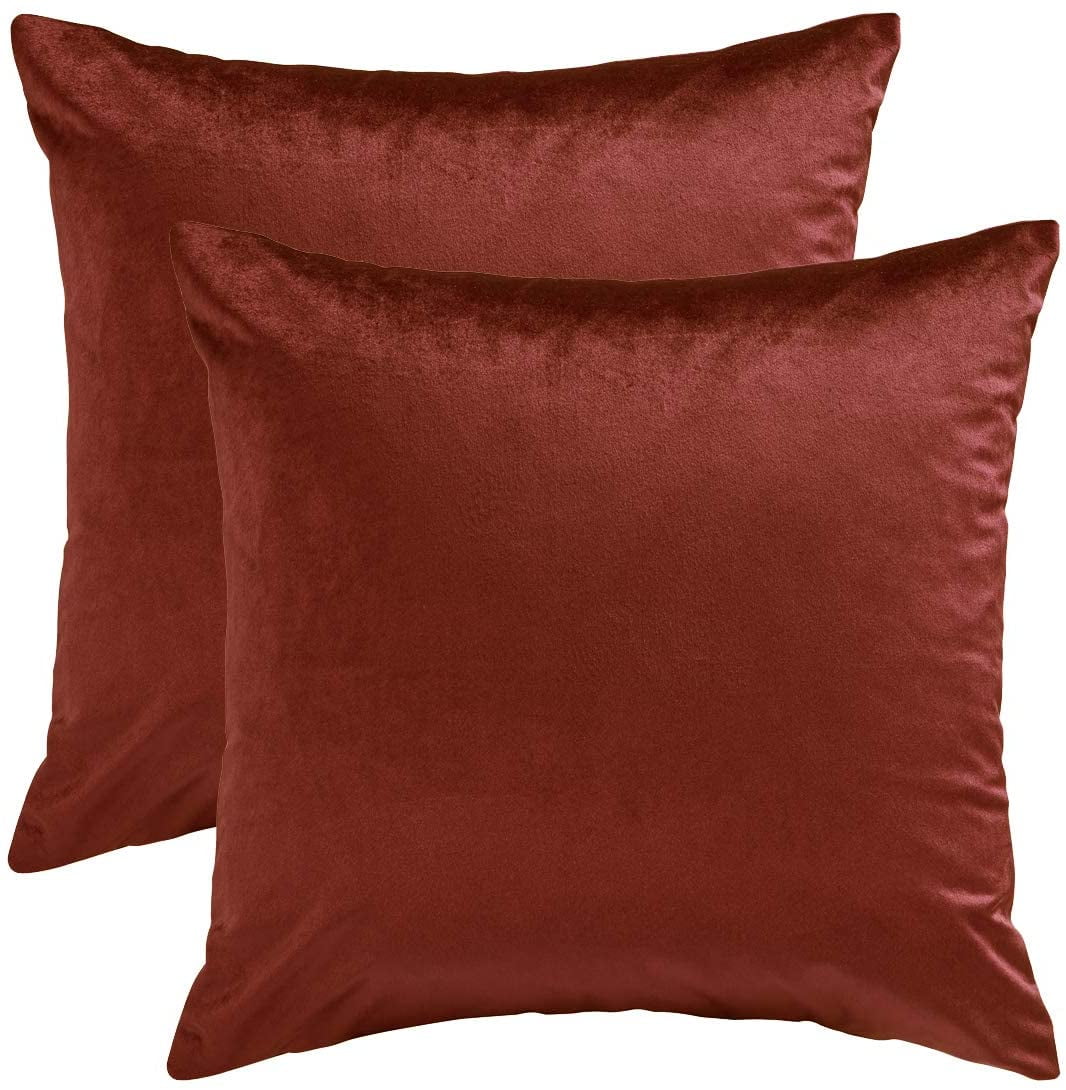 Nmkwnr Set of 2 Velvet Decorative Throw Pillow Covers Soft Square Pillow Case for Living Room Couch Bed Sofa, 24x24 Inch