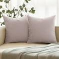 thumbnail image 1 of Nmkwnr Set of 2 Velvet Throw Pillow Cover Decorative Pillowcase Soft Cushion Case Solid Color Square Pillow Case for Couch Bed Sofa Chair, 24"x24", 1 of 7