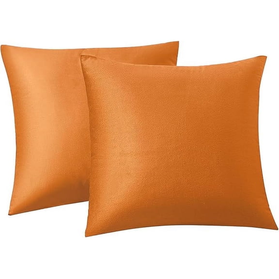 Nmkwnr Set of 2 Velvet Throw Pillow Covers Decorative Square Pillowcases Cushion Cases for Couch Sofa Bedroom Living Room, 18x18 Inch