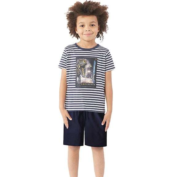 Nmmacb Boys Summer Shorts Set Soft Dinosaur Cartoon Drawstring Summer Athletic Shorts Boy Set for Kids Toddler Shorts 2-7Y