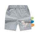 thumbnail image 1 of Nmmacb Kids Baby Boys Girls Cotton Shorts Dinosaur Shorts Little Boys Cartoon Dinosaur Summer Elastic Waist Short Pants for 1-8Y, 1 of 9