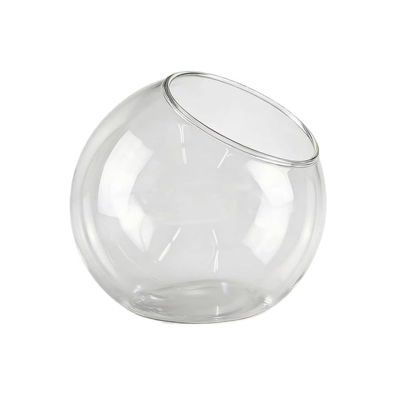 Nnndbs Glass Terrarium Bottle Vase, Clear Glass Planter Propagation Station with Slanted Mouth Design, Tabletop Hydroponic Plant Container for Home Office Decor