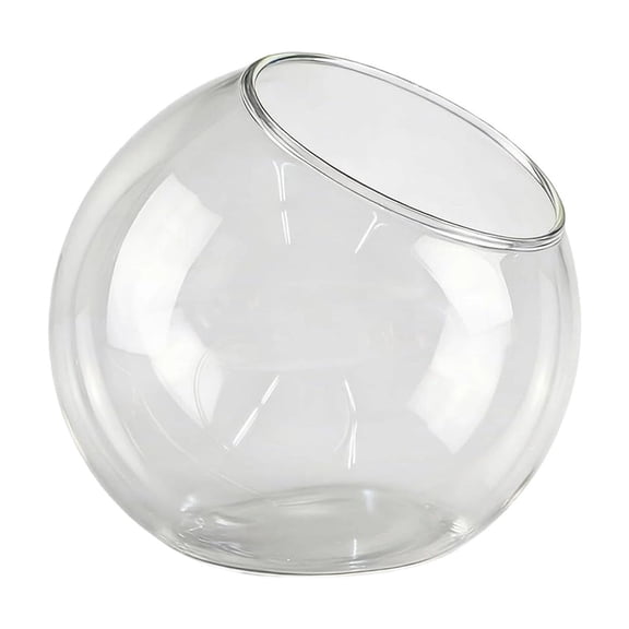 Nnndbs Glass Terrarium Bottle Vase, Clear Glass Planter Propagation Station with Slanted Mouth Design, Tabletop Hydroponic Container for Home Office Decor