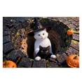 thumbnail image 1 of Nnndbs Halloween Optical Illusion Rug, 3D Visual Trap Floor Mat, Non Scary Carpet for Entryway Living Room Home Halloween Decor, 1 of 7