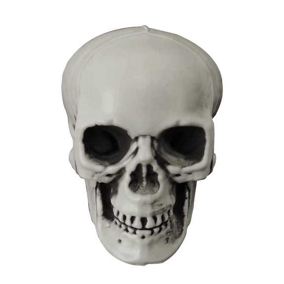 Nnndbs Halloween Realistic Plastic Skull Head Decoration, Fake Human Skeleton Prop for Party Haunted House Table Decor`