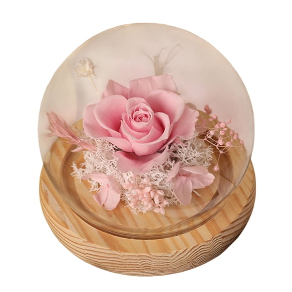 Nnndbs Preserved Rose in Glass Dome, Eternal Real Touch Flower with LED Light for Mother‘s Day Anniversary Birthday Gift Home Decor`