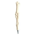 thumbnail image 1 of Nnndbs Realistic Bone-Shaped Ballpoint Pens, Novelty Skeleton Pens for Doctors, Nurses, Halloween & Gifts, 1 of 5