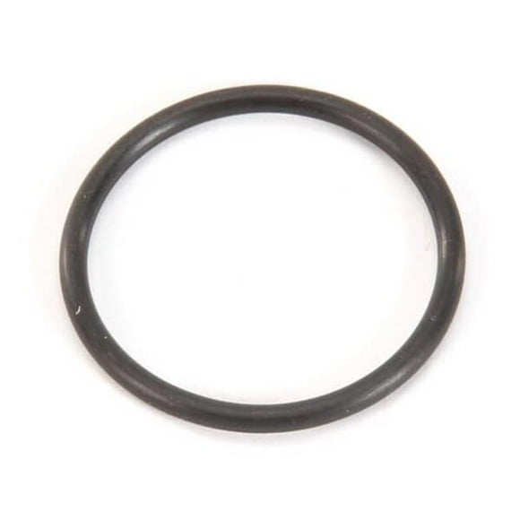 No.2-124 Large Parker O-Ring