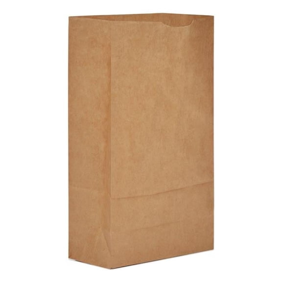 No 6 Grocery Paper Bag, Kraft, Natural - 2000 Count