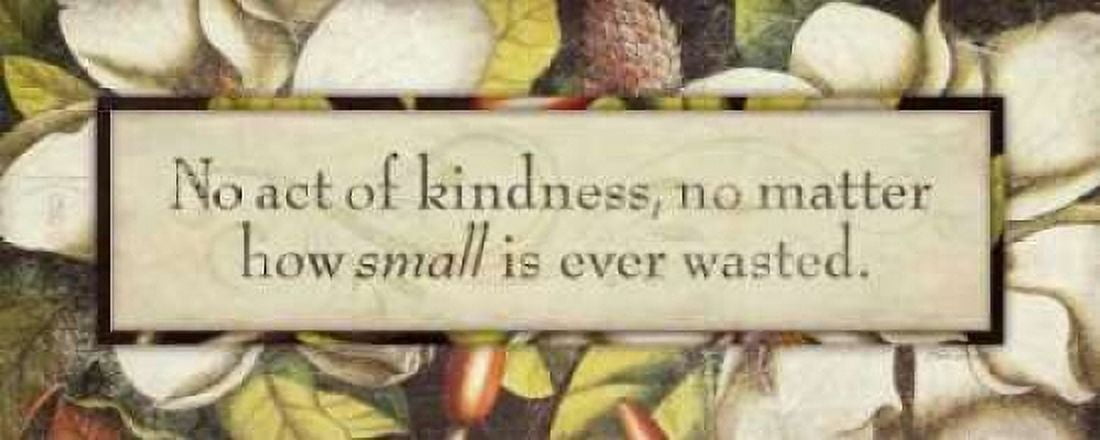 No Act of Kindness Canvas Art - Stephanie Marrott (24 x 48)