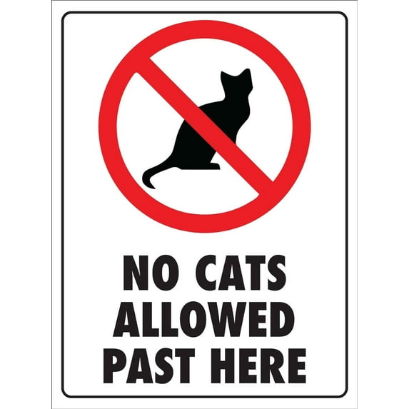 No Cats Allowed Past Here Sign Metal Tin Sign 8x12 Inches Caution Danger Safety Security Warning Notice Signs