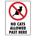 thumbnail image 1 of No Cats Allowed Past Here Sign Metal Tin Sign Caution Danger Safety Security Warning Notice Signs, 1 of 1