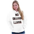 thumbnail image 1 of No Drama Llama Alpaca Chill Relaxed Hoodie Sweatshirt Women Men Brisco Brands M, 1 of 6