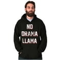 thumbnail image 1 of No Drama Llama Alpaca Chill Relaxed Unisex Plus Fleece Graphic Hoodie Brisco Brands 2X, 1 of 5
