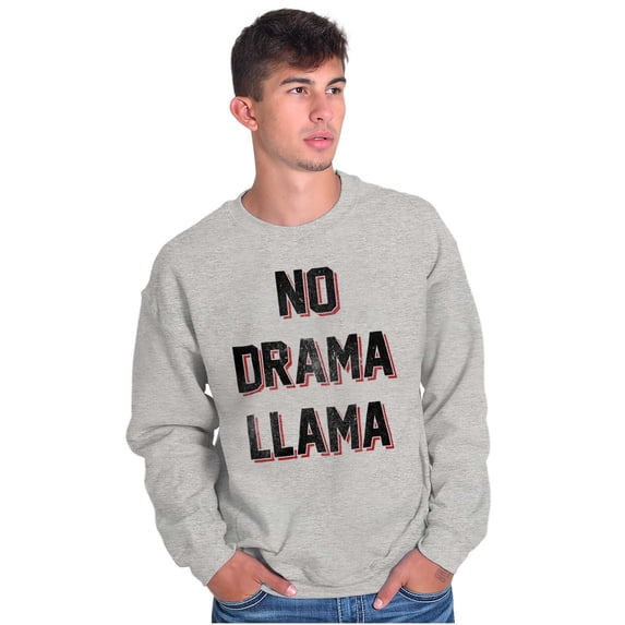 No Drama Llama Alpaca Chill Relaxed Unisex Plus Fleece Graphic Sweatshirt Brisco Brands 2X