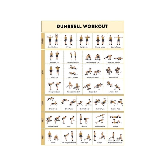No Equipment and Dumbbell Exercise Metal Sign Comprehensive Training Chart for Home Gym Workout Plan 8 X 12 in