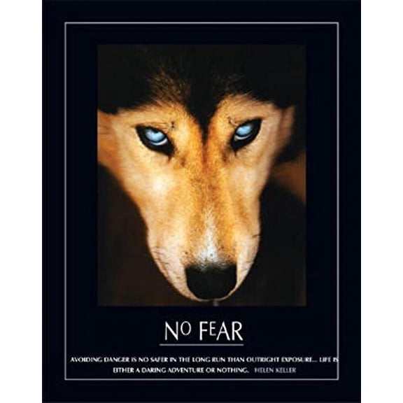 No Fear Hellen Keller Quote Dog Art Print Poster Mini Poster 16 x 20in