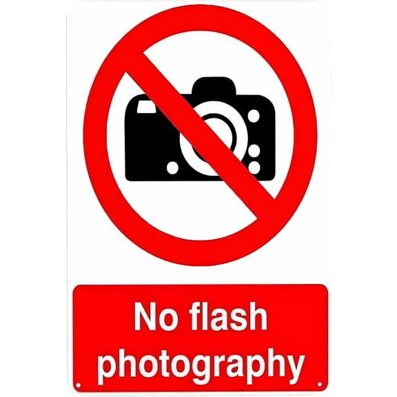 No Flash Photography Tin Sign - 8"x12" Vintage Metal Warning Sign, Privacy Protection Decor for Home Farm Bar Coffee Shop Club Museum Indoor