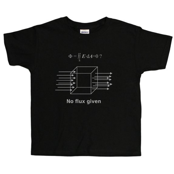 No Flux Given Funny Science Physics Unisex Youth T-Shirt (Sizes 4-20) (Black, Youth Large (14/16))
