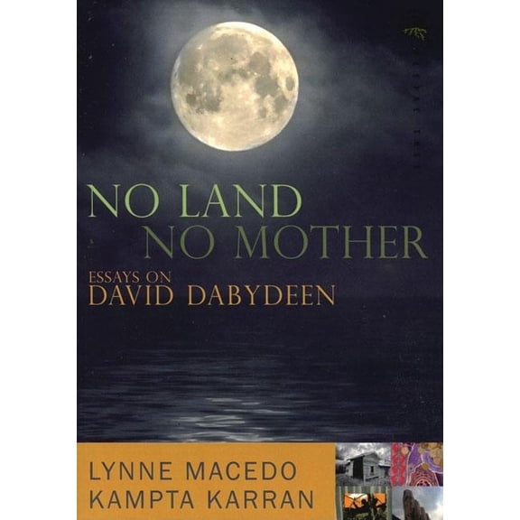 No Land, No Mother : Essays on the Work of David Dabydeen (Paperback)
