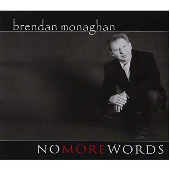 No More Words (Audiobook)