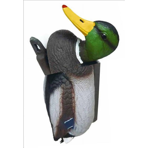 No New Kind of Duck