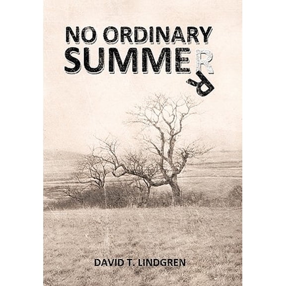 No Ordinary Summer (Paperback) by David T Lindgren