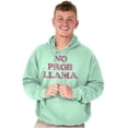 thumbnail image 1 of No Problama Llama Alpaca Cute Funny Hoodie Sweatshirt Women Men Brisco Brands X, 1 of 6
