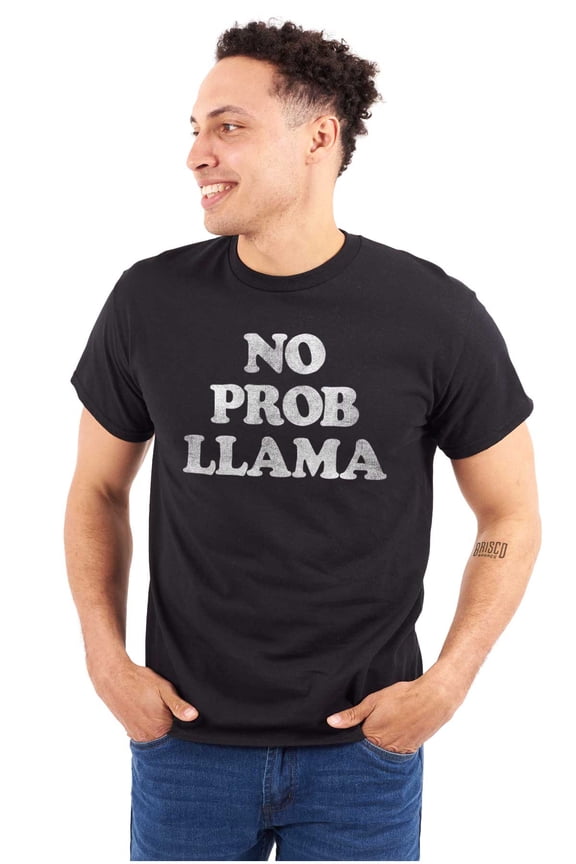 No Problama Llama Alpaca Cute Funny Plus Size Crewneck Graphic Tee Shirt Brisco Brands 2X