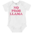 thumbnail image 1 of No Problama Llama Alpaca Cute Funny Romper Boys or Girls Infant Baby Brisco Brands 6M, 1 of 6