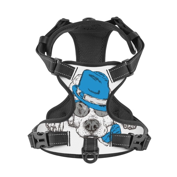 No Pull Dog Harness For Medium Dogs Easy Walk Dog Vest Adjustable Collars Harnesses & Leashes Set Breathable Oxford Outdoor Walking Safety Reflective Strip Cute Puppy With Hat & Glasses