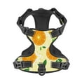 thumbnail image 1 of No Pull Dog Harness For Small Dogs Easy Walk Dog Vest Adjustable Collars Harnesses & Leashes Set Breathable Oxford Outdoor Walking Safety Reflective Strip Vector Oranges Pattern, 1 of 9
