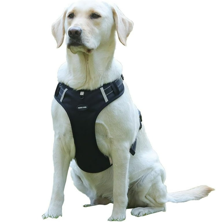 No Pull Dog Harness Medium Reflective Front Clip Vest with Handle Adjustable 2 Metal Rings 3 Buckles Easy to Put on Take Off L Orange