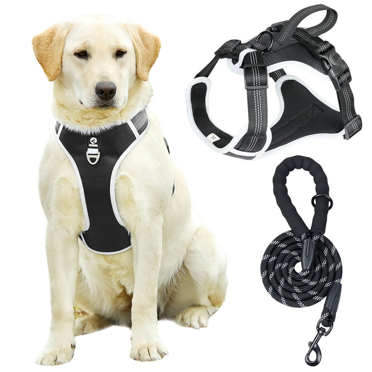 Wild One Black Dog Harness, Medium
