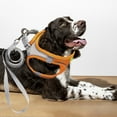 thumbnail image 1 of No Pull Dog Harness Vest With Leash Reflective Nylon Pet Walking Jacket For Large Dogs Escape Proof Front Clip Design, 1 of 4