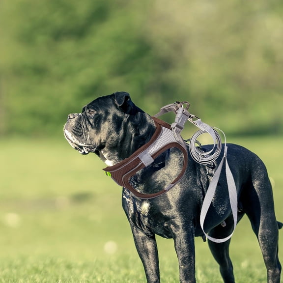 No Pull Dog Harness With Leash, Reflective Breathable Nylon Pet Vest, Escape Proof Adjustable Design, For Large Dogs Outdoor Walking 8×8In(Khaki,S)