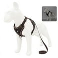 thumbnail image 1 of No Pull Dog Harness and Leash Set Adjustable Pet Harness Vest For Small Dogs Cats Reflective Mesh Dog Chest Strap French Bulldog, 1 of 5