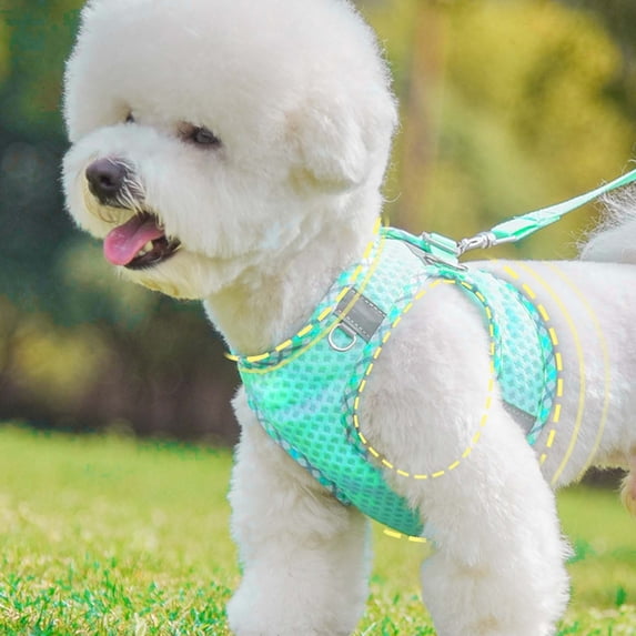 No Pull Dog Harness and Leash Set with Reflective Strips Step-in Vest for Small Medium Large Dogs Walking Running Training