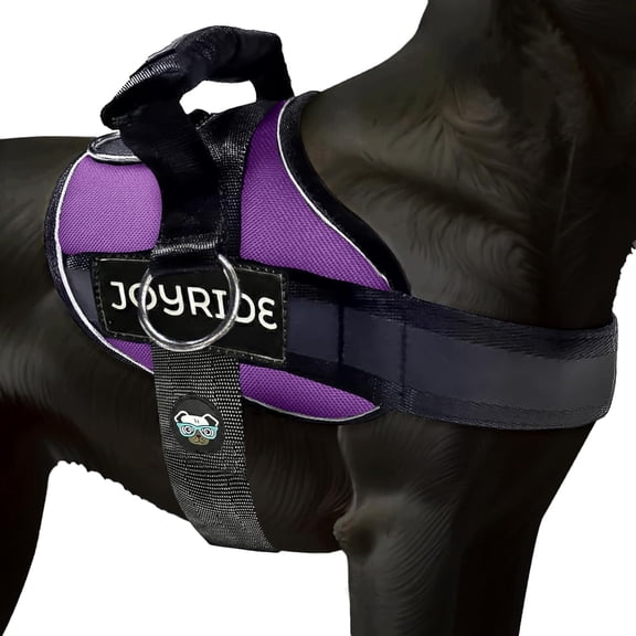No Pull Dog Harness with Reflective Trim and 3 Leash Clips for Small Medium and Large Dogs Purple Medium