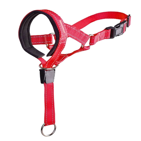 No-Pull Dog Head Collar with Safety Strap - Soft Padded Head Halter for Leash Training, Stops Pulling During Walks for Small Medium Large Dogs