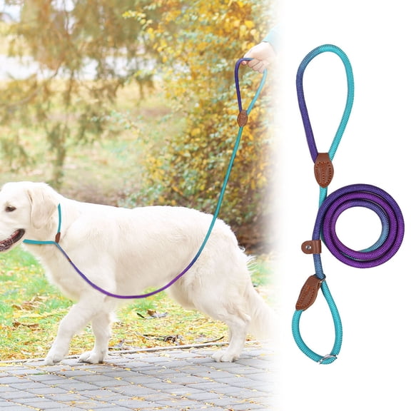 No Pull Dog Training Harness, Nylon Rope Leash Combo for Walking 1 Piece, Adjustable Outdoor Traction Gear for Medium Pets 0.3 Inch